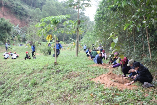 Đông đảo ĐVTN tham gia hưởng ứng Tết trồng cây